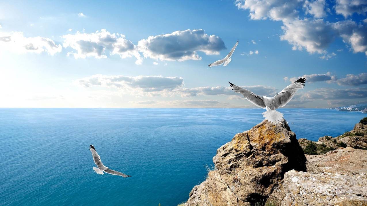 qq快手业务代刷-快